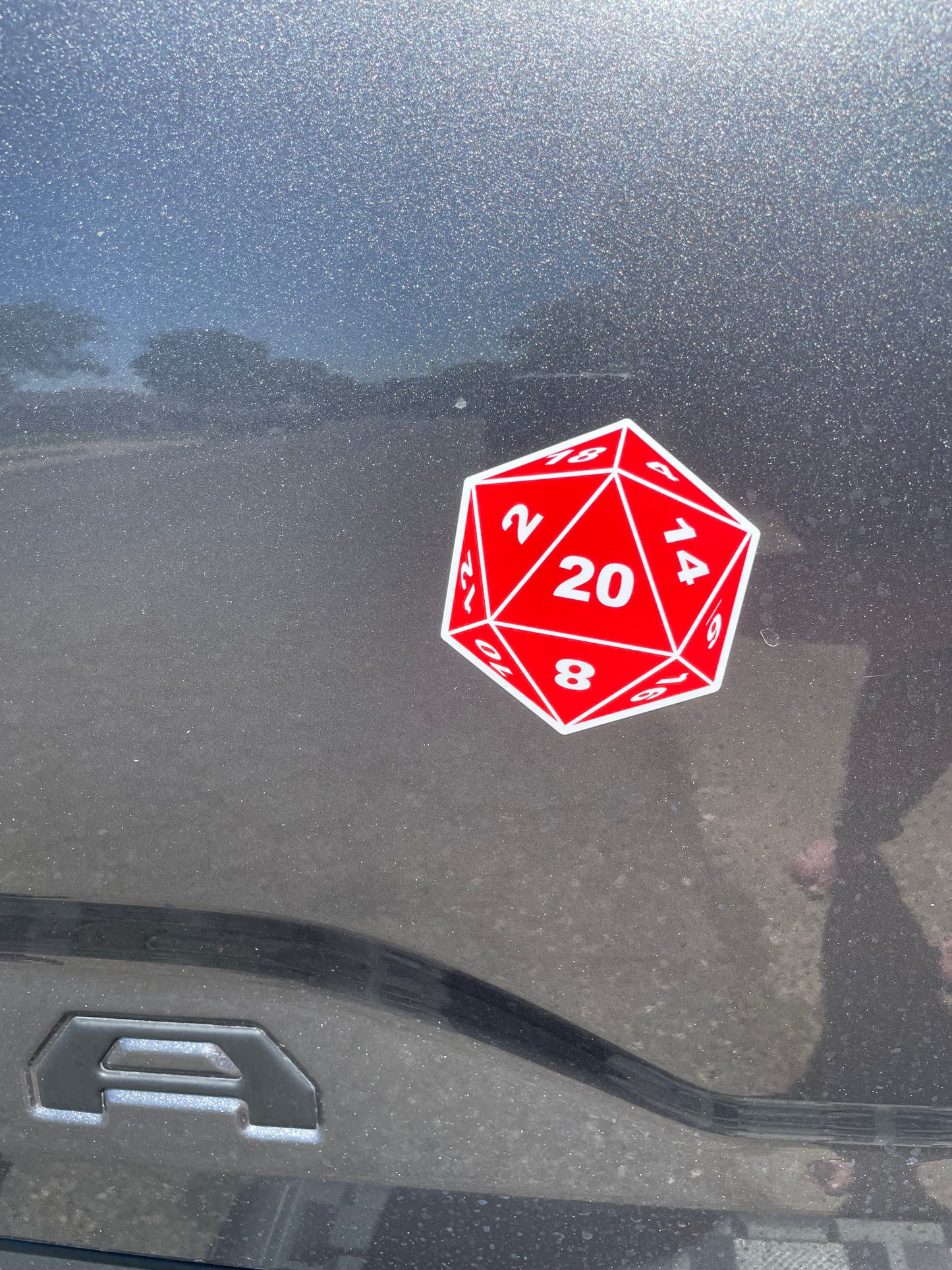 D20 3 inch magnet